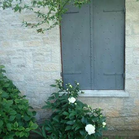 Apartman Tijano *