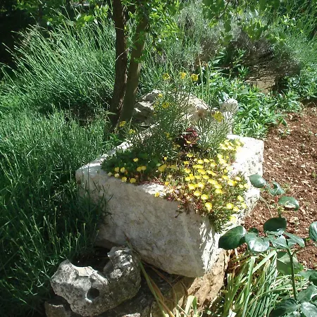 Lägenhet Apartmani Tijano Krnica