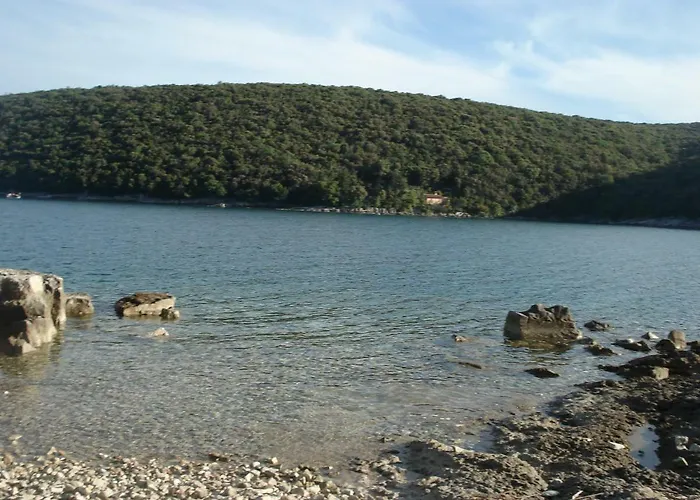 Tijano