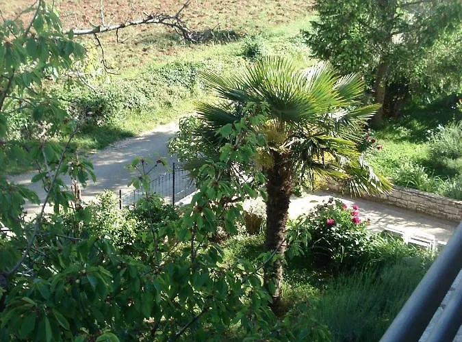 Tijano *