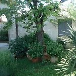 Tijano