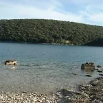 Tijano