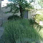 Tijano *