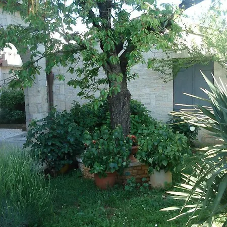 Apartmani Tijano