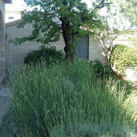 Apartmani Tijano *