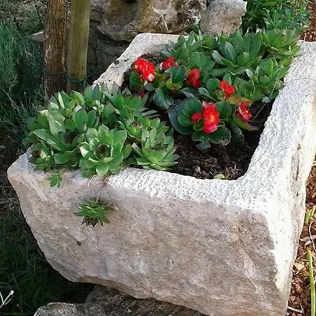 Tijano